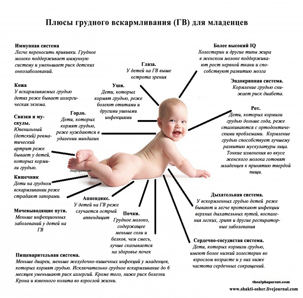 «зачем маленькому ребенку знать буквы?»: педиатр – о раннем развитии | медицинская россия