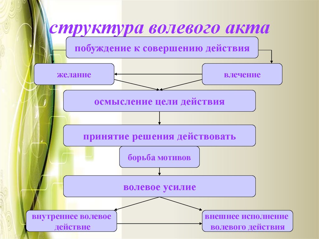 Структура волевого акта в психологии: из чего состоит простое действие? | mma-spb.ru