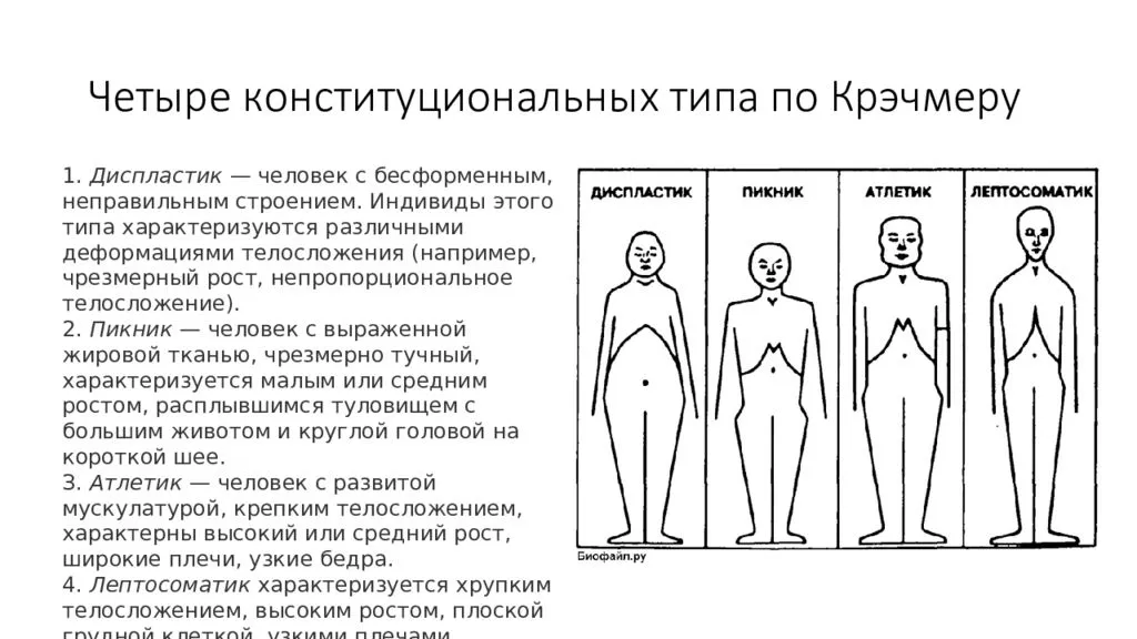 Методика «7 радикалов» виктора пономаренко. можно ли определить характер человека по внешности? | блог 4brain