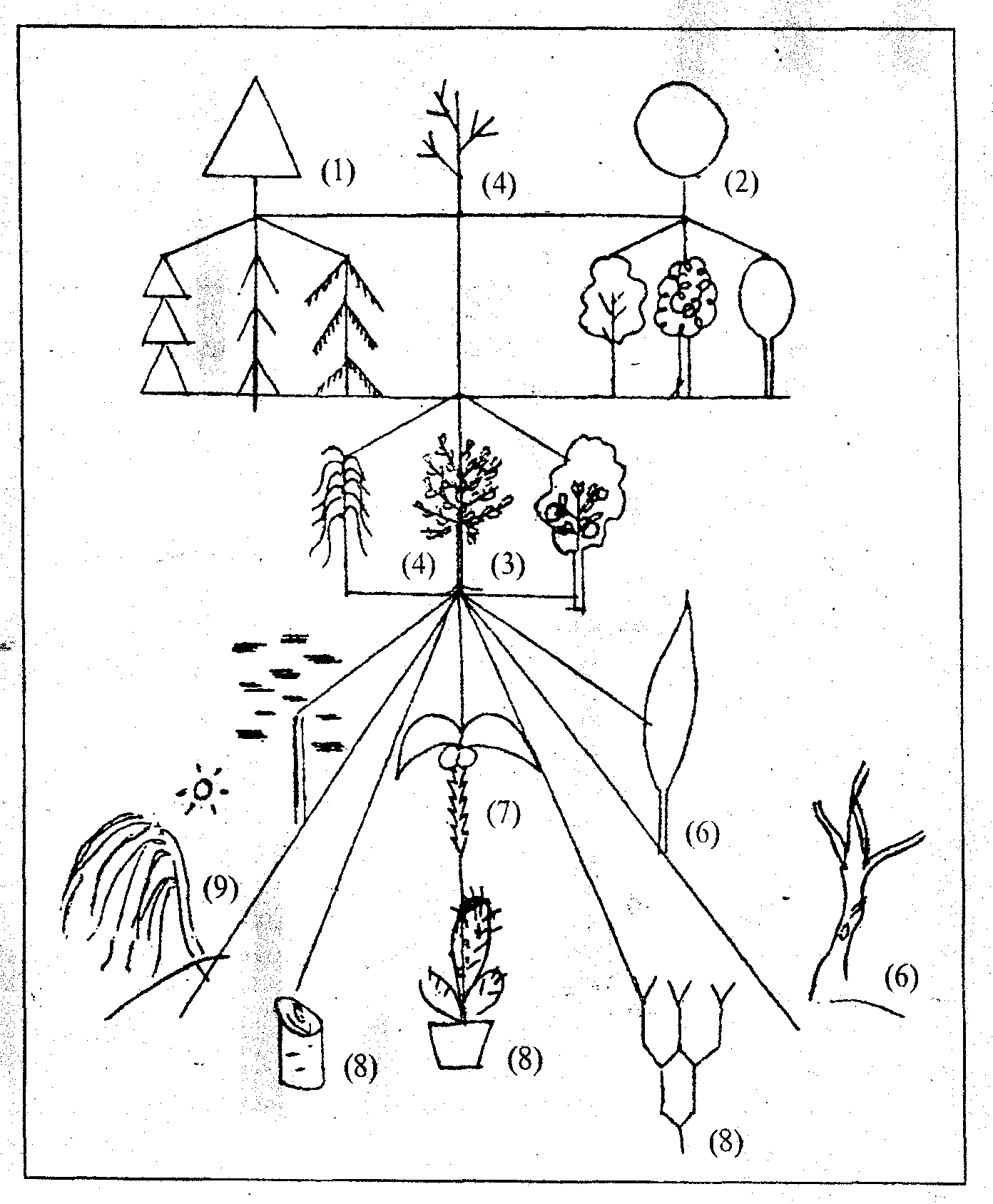 Тест рисуночные методики. Исследования личности «дом-дерево-человек » Дж. Бука. Рисуночные проективные методики. Проективные рисуночные тесты. Рисуночные методики это тесты.