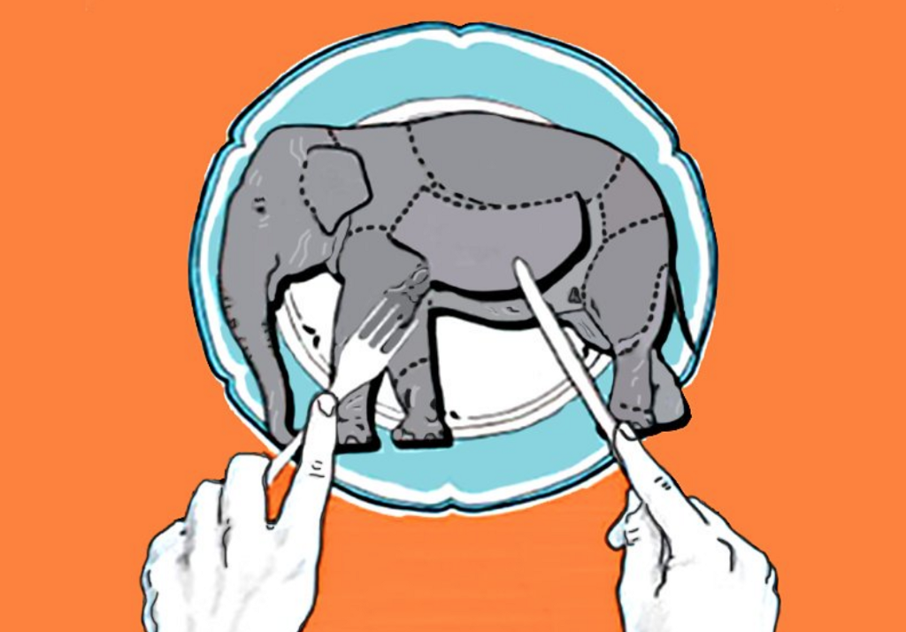 Что едят слоны – ежедневный рацион
