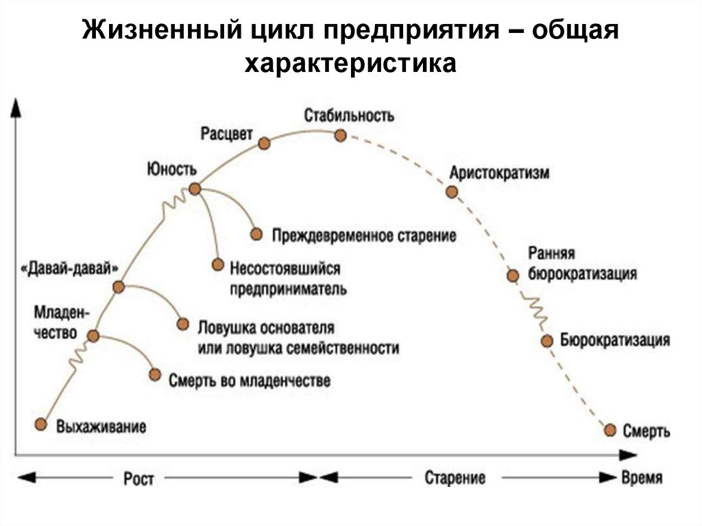 Определение стадии жизненного цикла организации • д. л. медведев