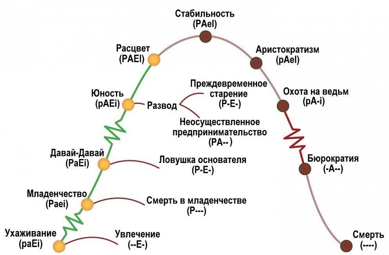 Жизненный цикл организации: от рождения до смерти