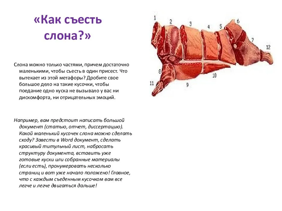 А как | как съесть слона | akak.ru
