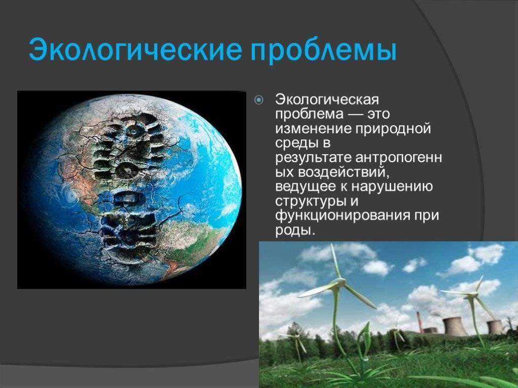 Экологические проблемы: пути решения, проблемы экологии мира, современности, земли, человечества, в городе