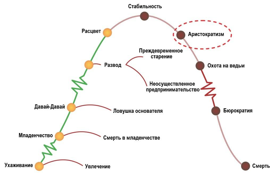 Определение стадии жизненного цикла организации