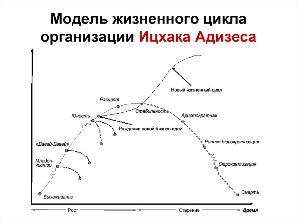 Стили управления paei по адизесу | бизнес-анализ в россии