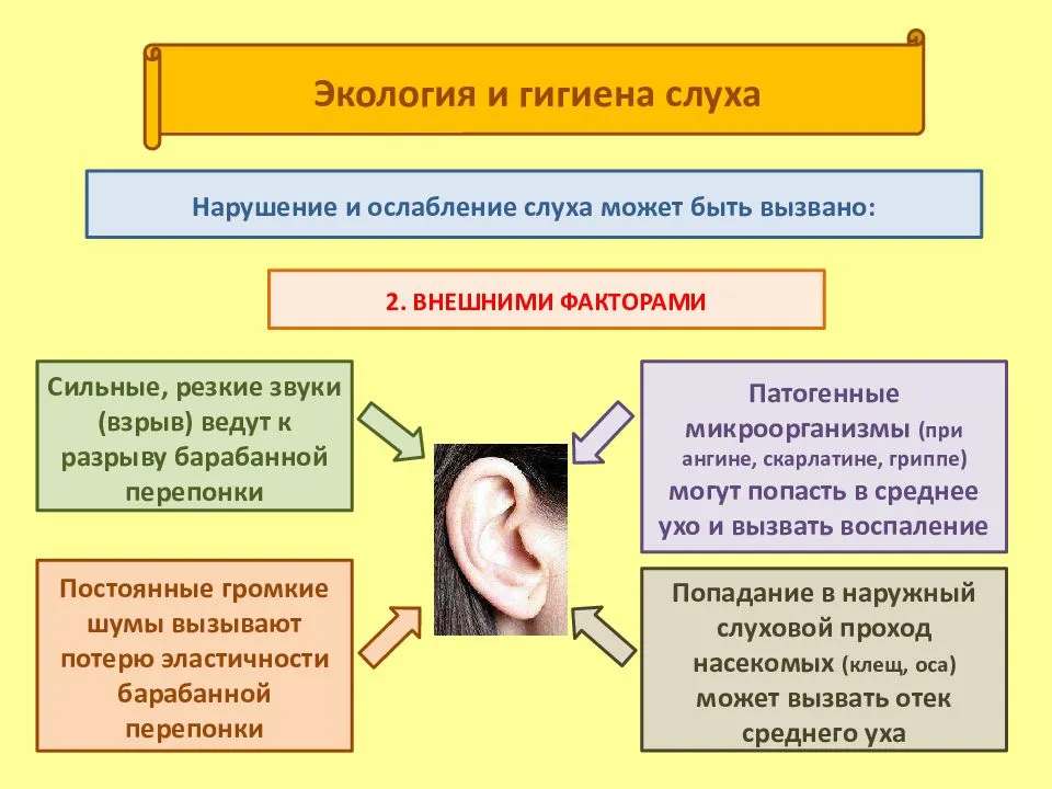Что такое музыкальный слух, и можно ли его развить?