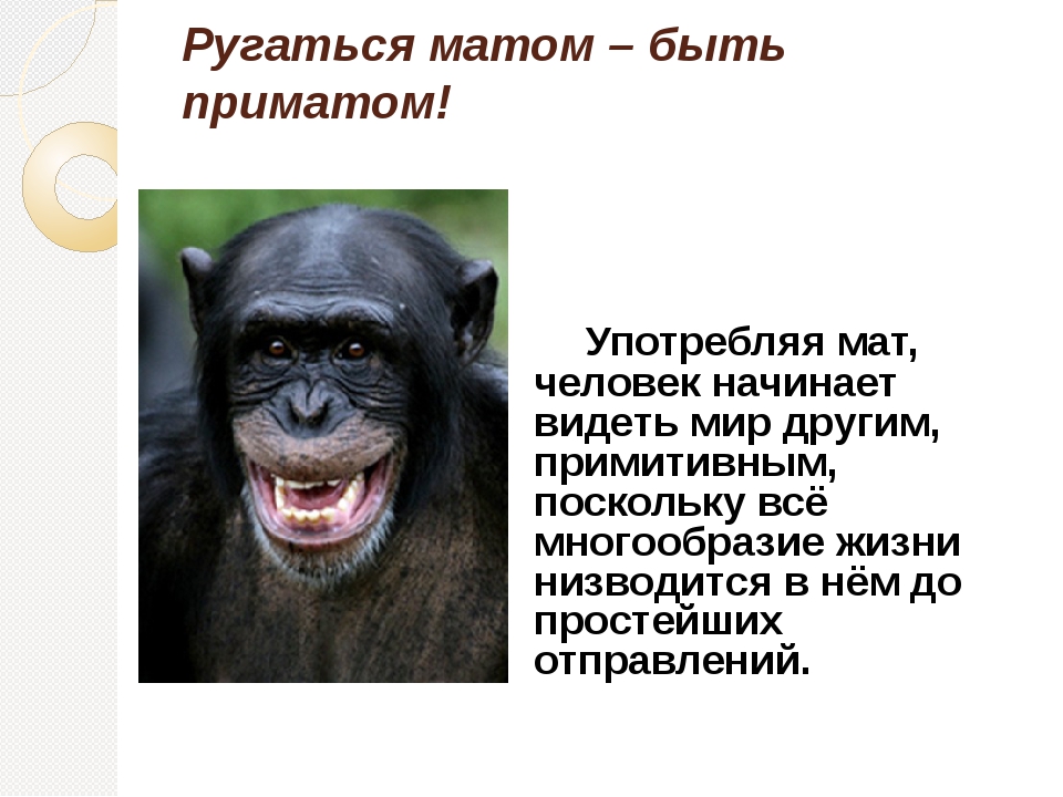 Маты плохие слова на русском. Ругаться матом. Ругаться матом быть приматом. Ругаться матом быть приматом плакат. Не буду ругаться матом.