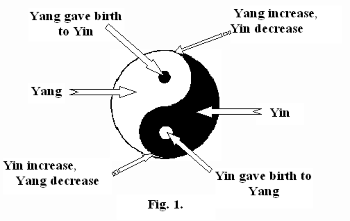 Инь янь: что это такое, значение и принципы этого символа?