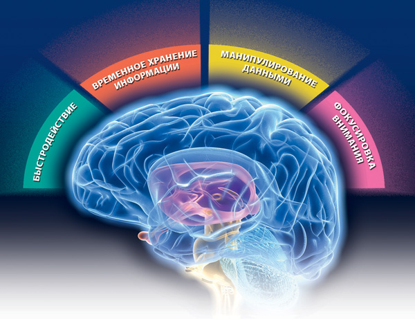 Эксплицитная память: собирая мозаику сознания. майндсайт. новая наука личной трансформации