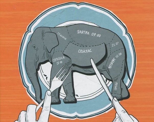 Чем питаются слоны различных видов в неволе и дикой природе и можно ли их есть: разбираем внимательно