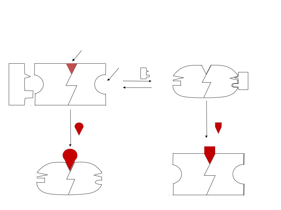 Аллостерический активатор. Схемы действия аллостерических активаторов и ингибиторов. Схема действия аллостерического ингибитора. Аллостерические модуляторы. Аллостерические ингибиторы и активаторы.
