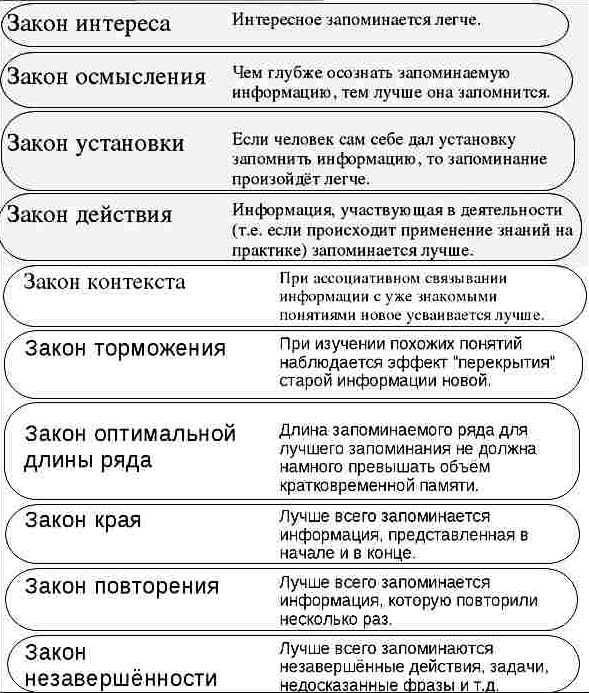 Законы и теории памяти в психологии :: syl.ru