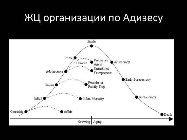 Жизненный цикл организации по и.адизесу.  - презентация