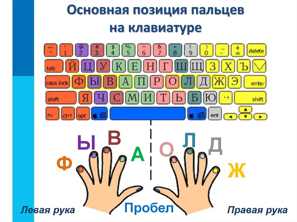 Основная позиция на клавиатуре. Расположение пальцев на клавиатуре. Правильная постановка пальцев на клавиатуре. Основная позиция пальцев на клавиатуре. Расположение рук на клавиатуре.