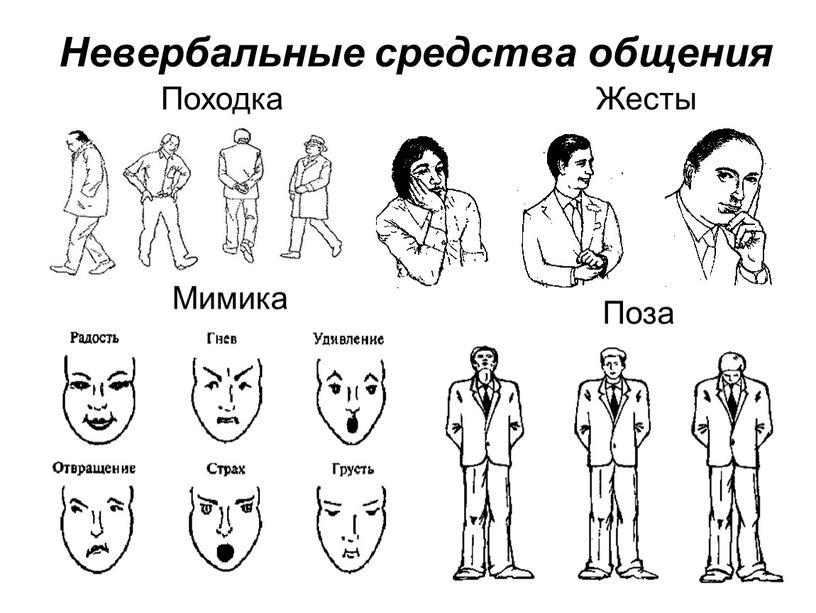 33 секрета невербальной коммуникации: читаем язык женских жестов
