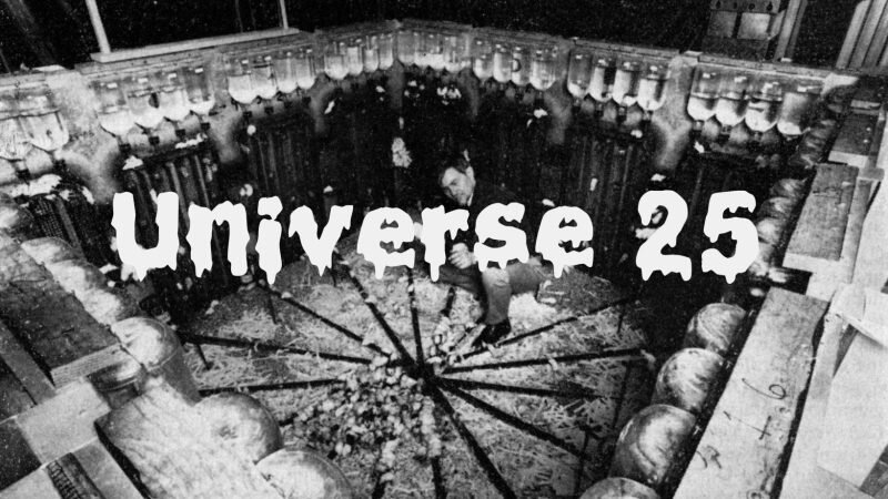 Вселенная-25