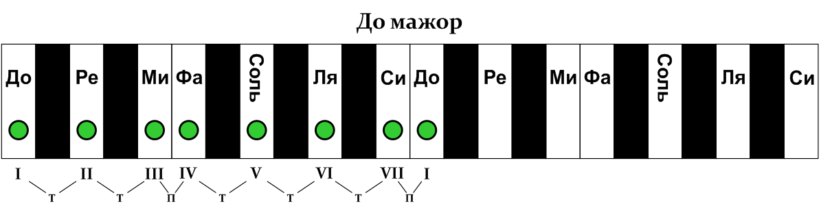 Схема строения мажорной гаммы