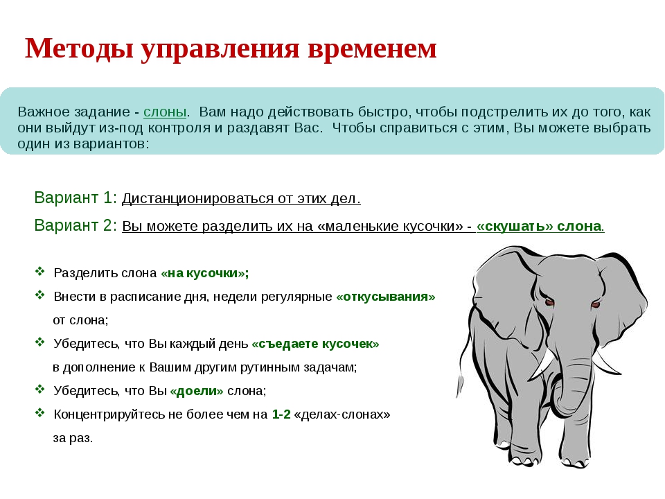 Читать книгу зубрилкин. итоговое сочинение, или как съесть слона? анны караковой : онлайн чтение - страница 1