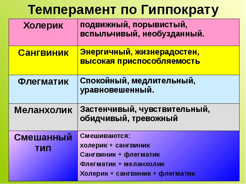 Типы темперамента – impulsion.ru