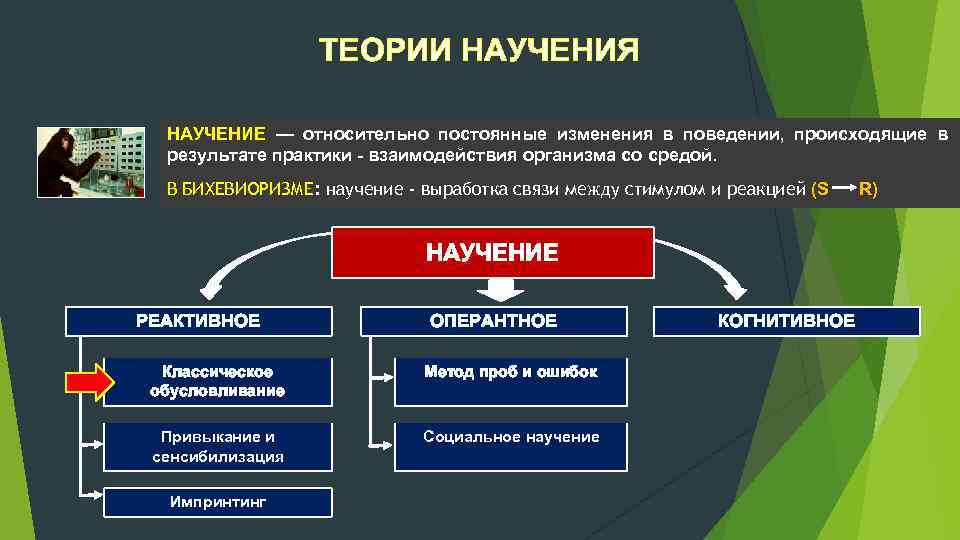 Как изменить поведение других людей? | executive.ru
