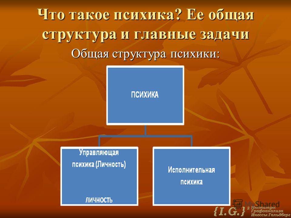 6 сущность. Мотков о.и. природа личности. Сущность, структура и развитие.