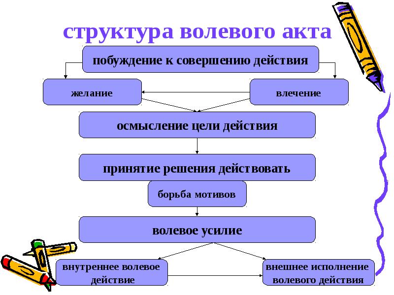Структура волевого акта. психология воли. волевые качества :: businessman.ru