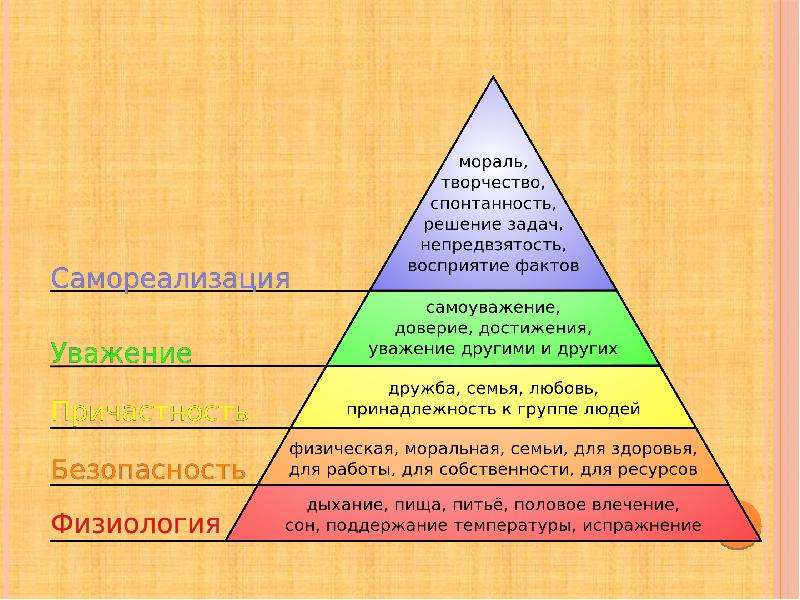 Пирамида потребностей маслоу: теория, примеры, уровни, физиологические потребности