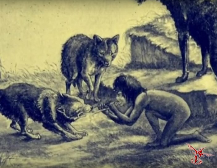 Дина саничар — реальный маугли, воспитанный волками и найденный в 1872 г. в джунглях индии