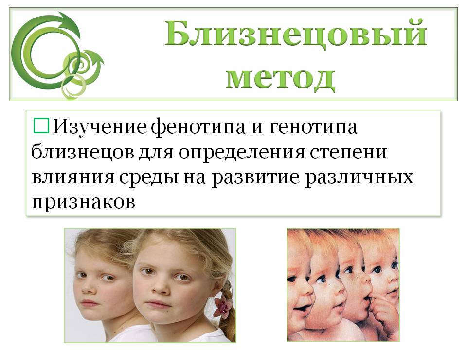 Близнецы и близнецовый метод. контрольная работа. биология. 2011-07-12