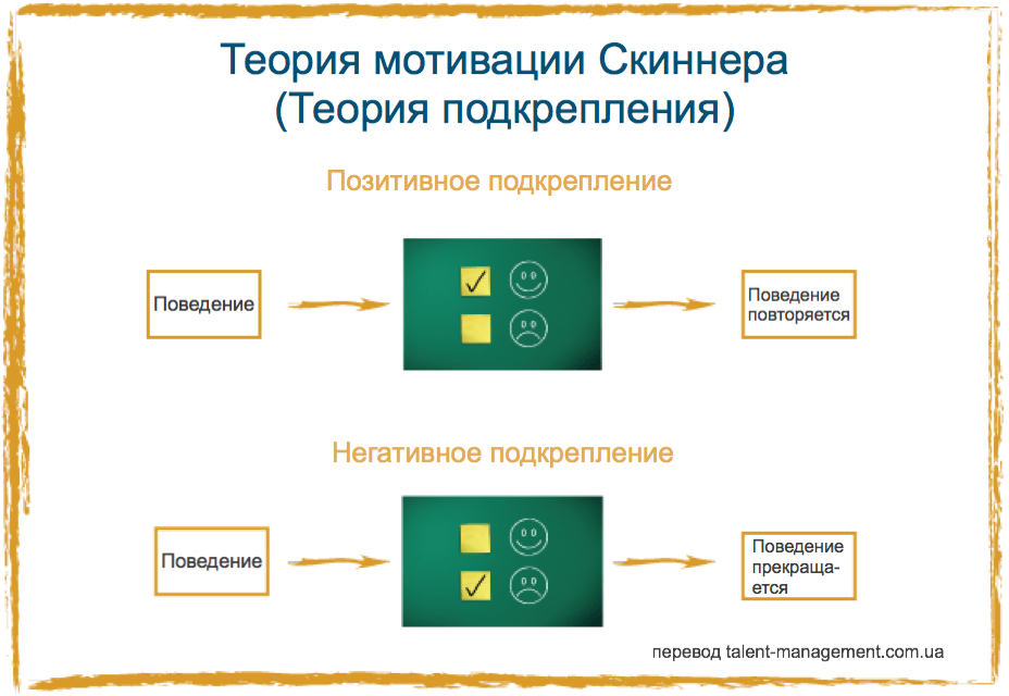 4 ключа к условному подкреплению. дрессировка собак wikipet.ru