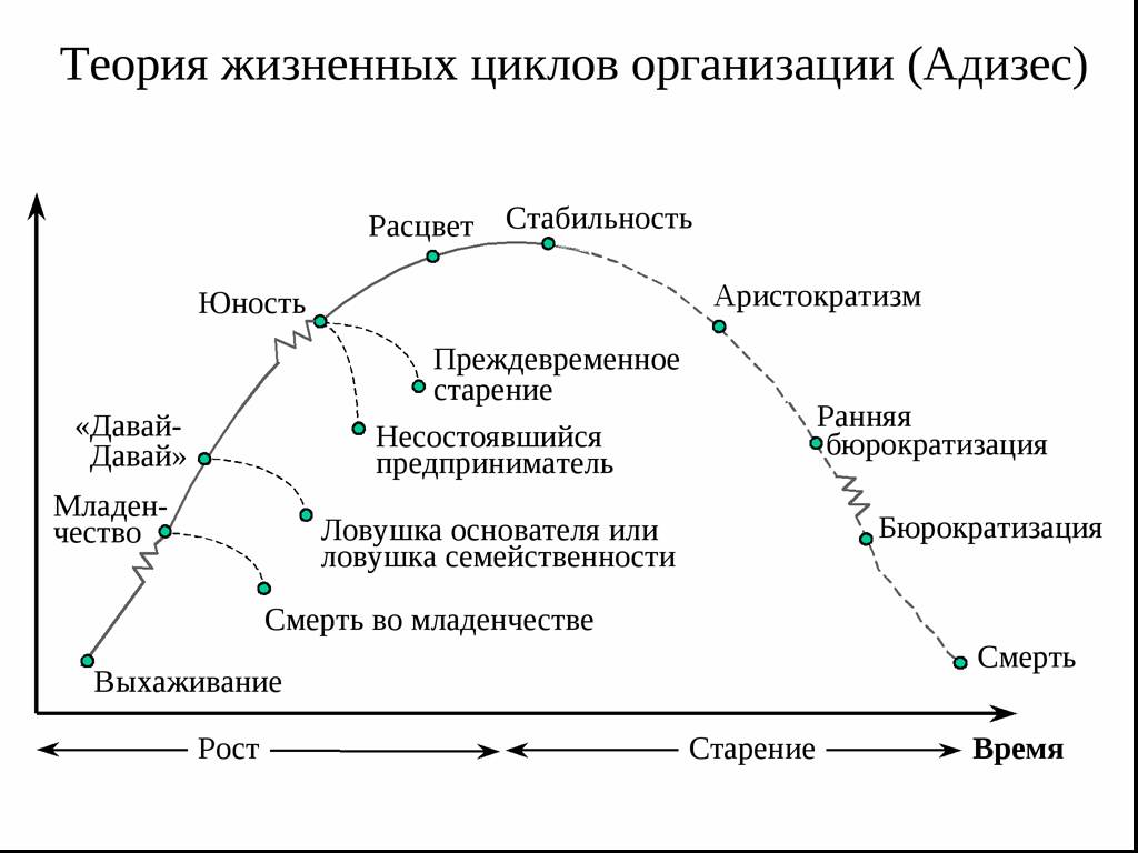 Стадии жизненного цикла организации и их особенности
