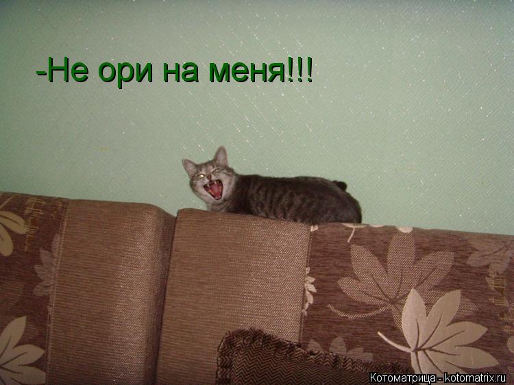 Фобия когда на тебя кричат - autizmy-net.ru