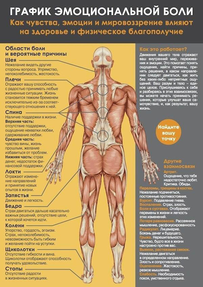 Психосоматика мышечных зажимов в разных частях тела
