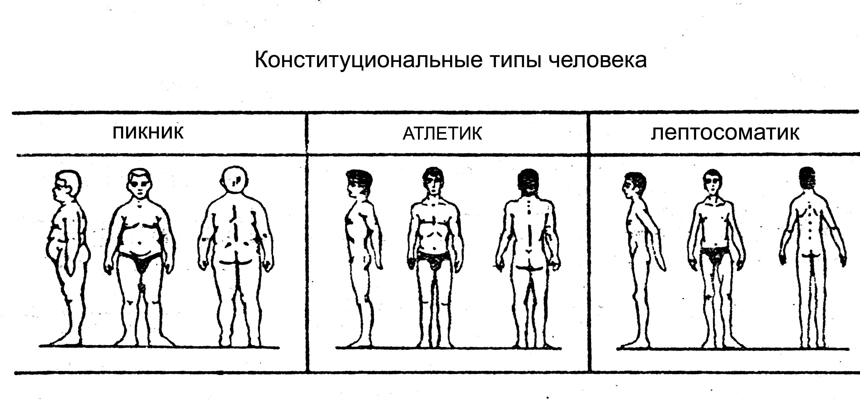 Методика «7 радикалов» виктора пономаренко. можно ли определить характер человека по внешности?