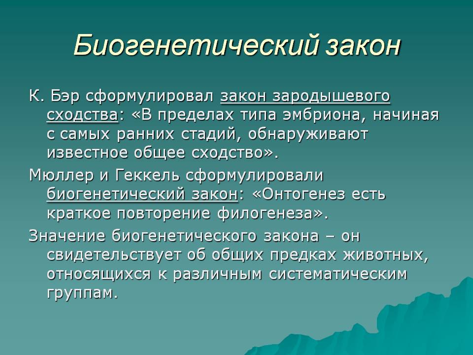 Закон девяти. Формулировка биогенетического закона. Биогенетический закон. Биоценотический закон. Биогенетический закон сформулировали.