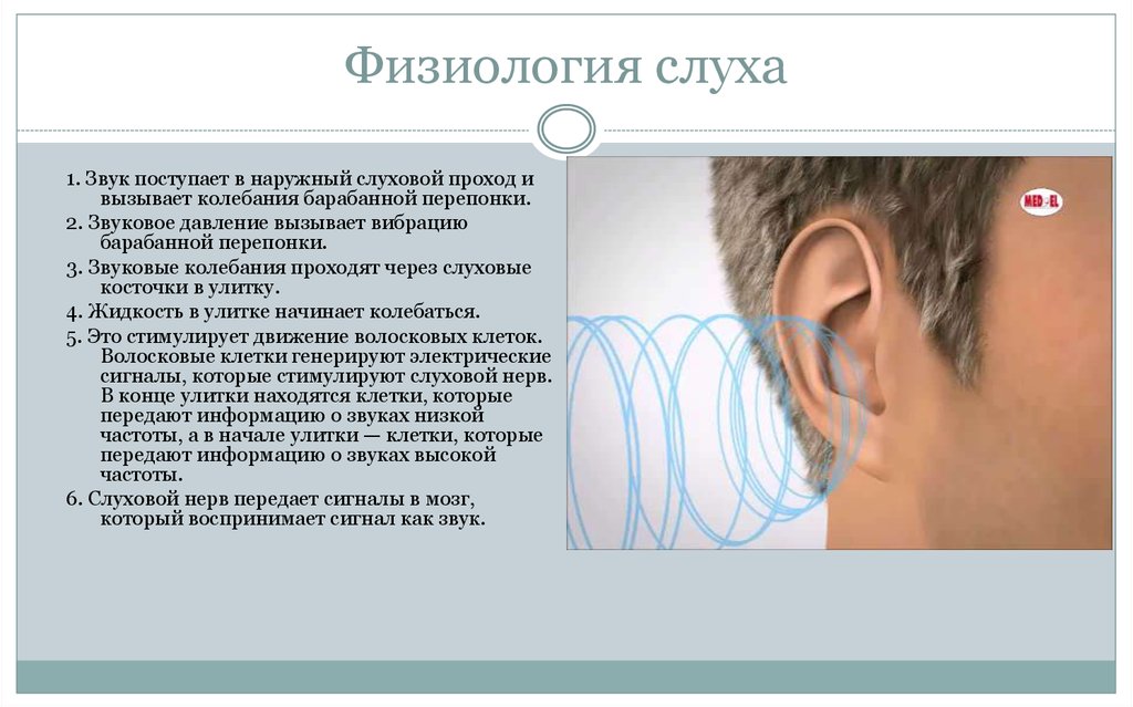 Потеря слуха. причины, симптомы, диагностика и лечение потери слуха.